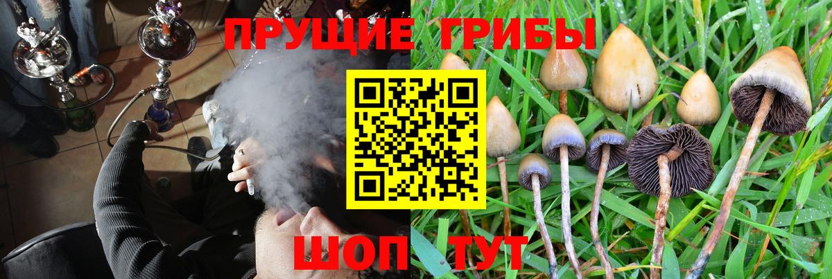 Азнакаево  Галлюциногенные грибы Magic Shrooms  Псилоцибиновые грибы мухоморы  Вход с VPN 